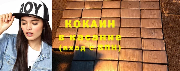 дживик Верхний Тагил