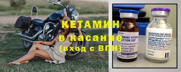 дживик Верхний Тагил