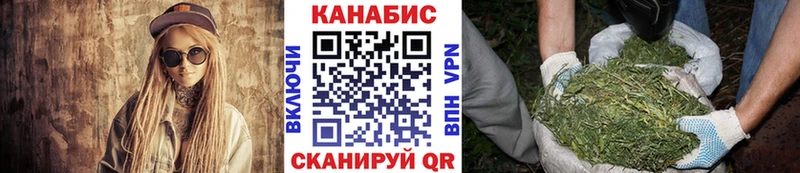 даркнет сайт  Каменногорск  Каннабис гибрид 